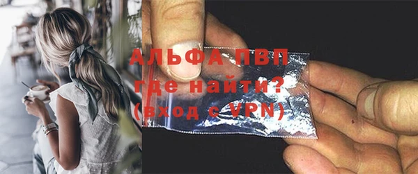 индика Новодвинск