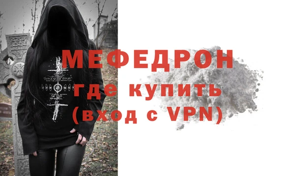 индика Новодвинск