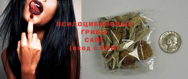 индика Новодвинск