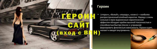 индика Новодвинск