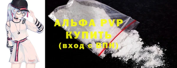 индика Новодвинск