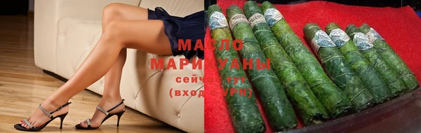 индика Новодвинск