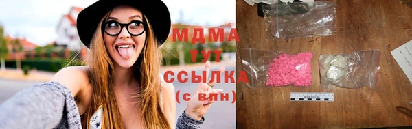индика Новодвинск