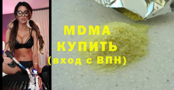 индика Новодвинск