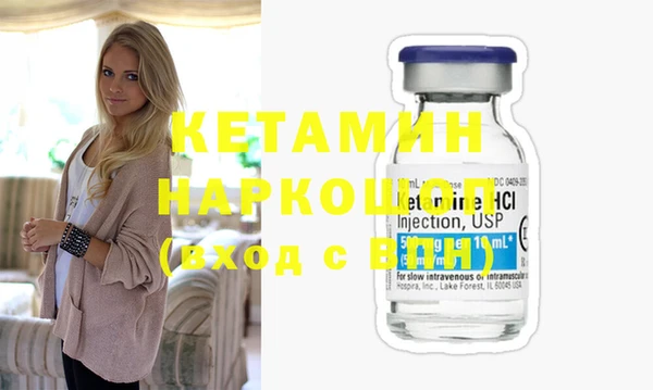 индика Новодвинск