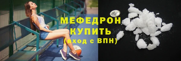 индика Новодвинск