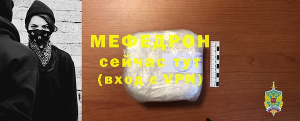 индика Новодвинск