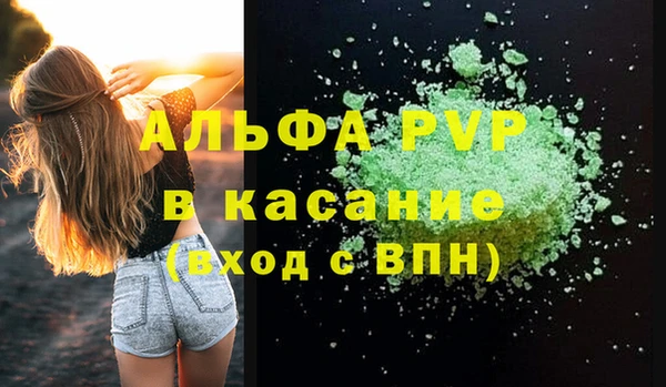 индика Новодвинск