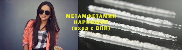 индика Новодвинск