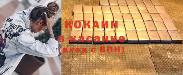 индика Новодвинск