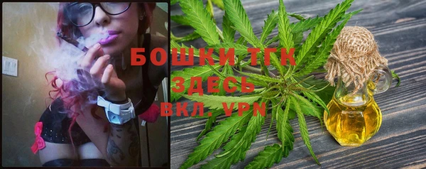 индика Новодвинск