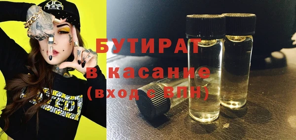 индика Новодвинск