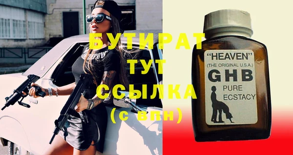 индика Новодвинск