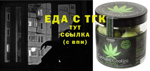 индика Новодвинск