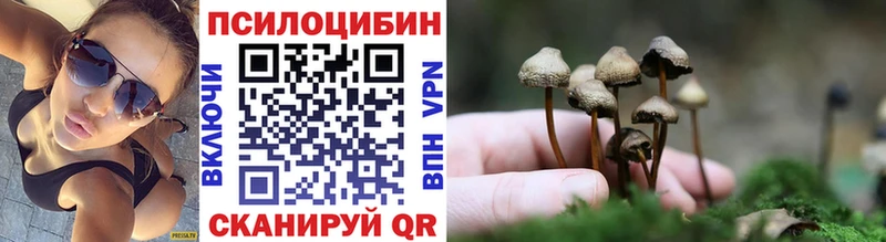 Псилоцибиновые грибы мухоморы  Купить где  Ирбит 